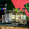 Pash Gin Cocktail Bundle