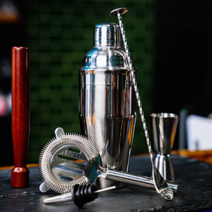 Stainless Steel Deluxe Cocktail Making Mixology Kit